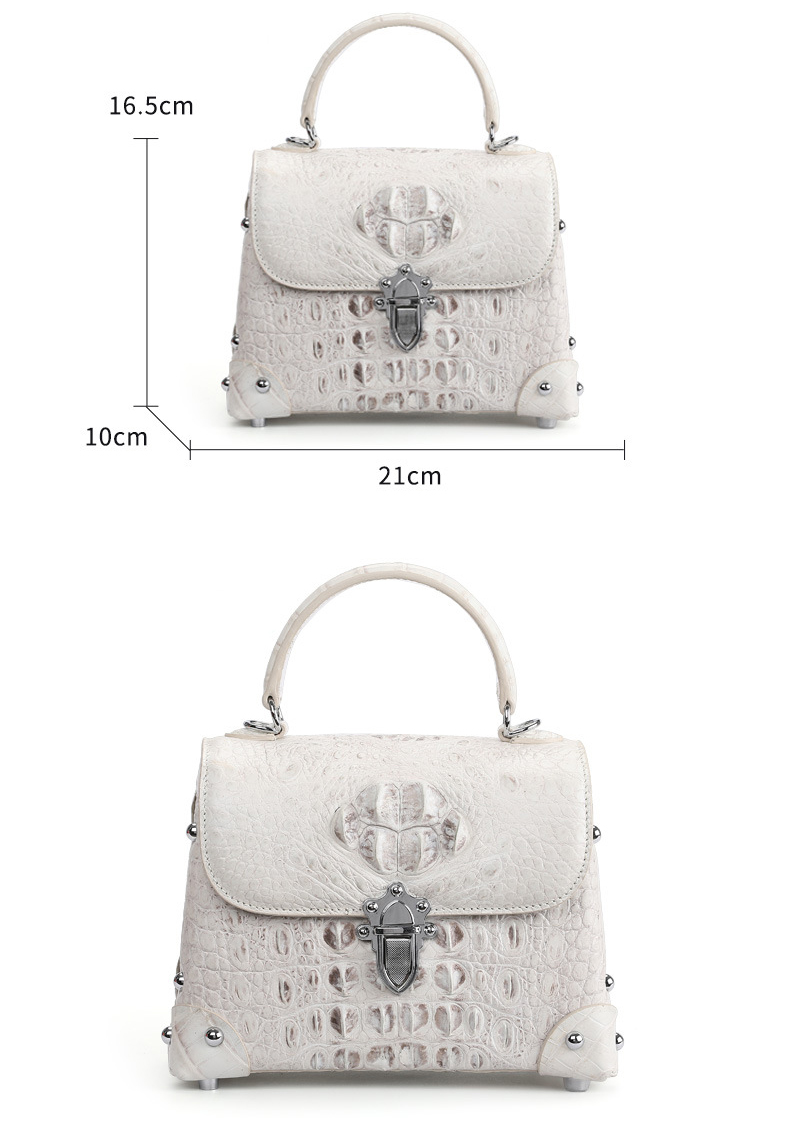 ladies handbag