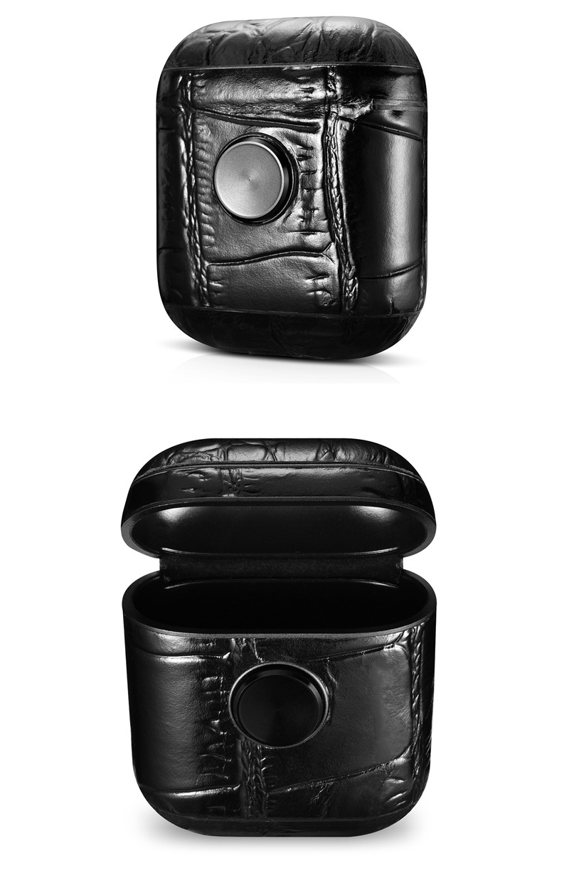 earphone case