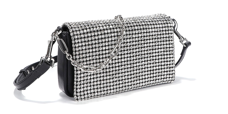 ladies handbag